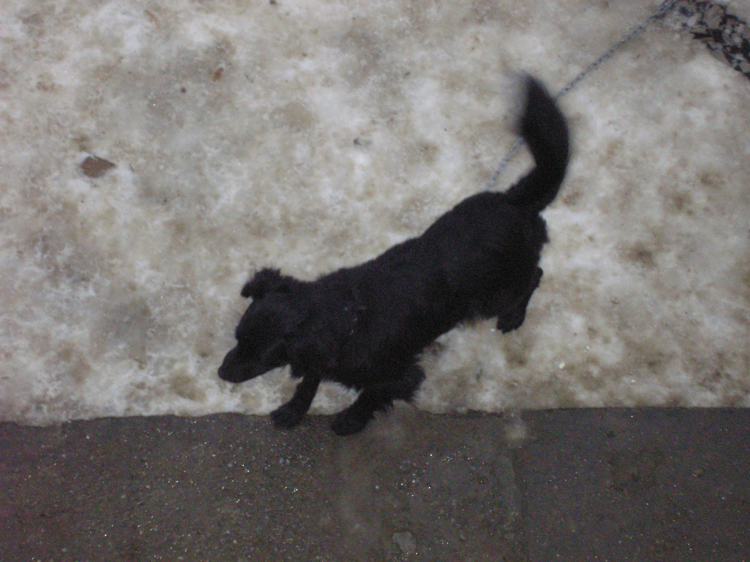 d.o.Hostýn.2007 022.jpg