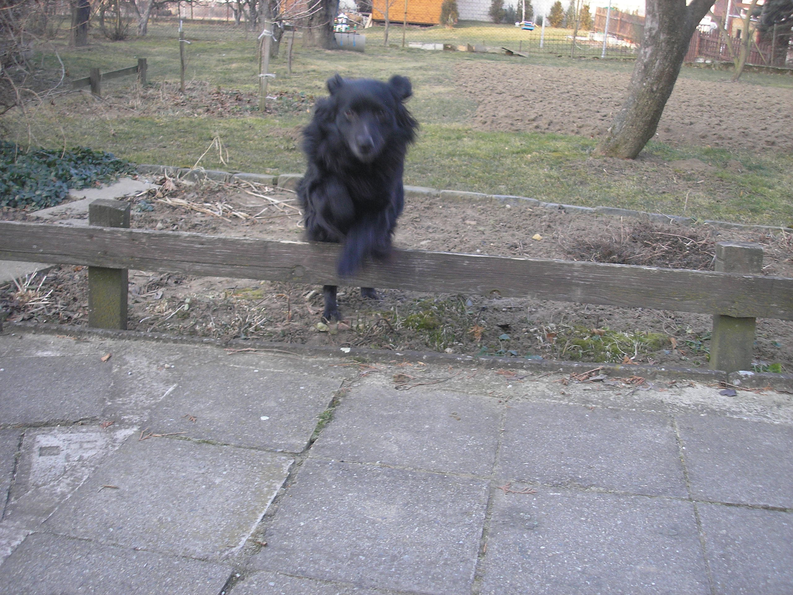 P1010030